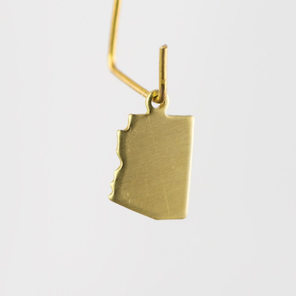 Raw Brass  Arizona Blank State Charm Drops (6) chr228BB