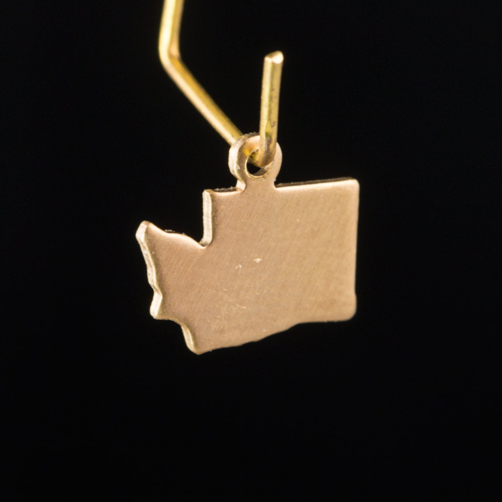 Raw Brass Washington Blank State Charm Drops (6) chr228F