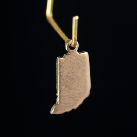 Raw Brass Indiana Blank State Charm Drops (6) chr228CC