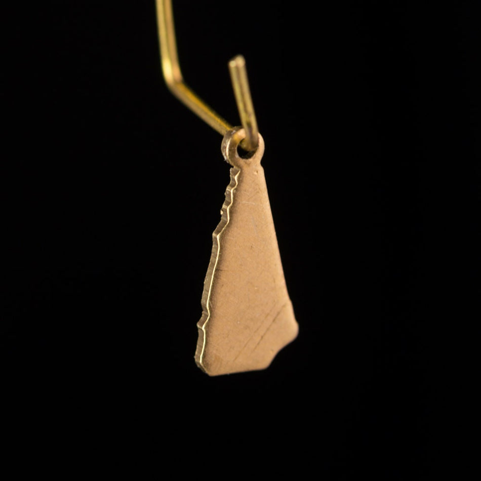 Raw Brass New Hampshire Blank State Charm Drops 15x6mm (6) chr228MM