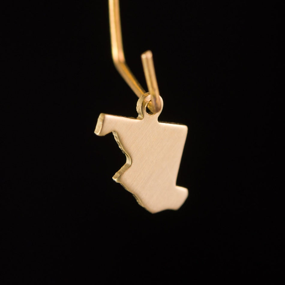 Raw Brass Maryland Blank State Charm Drops (6) chr228GG
