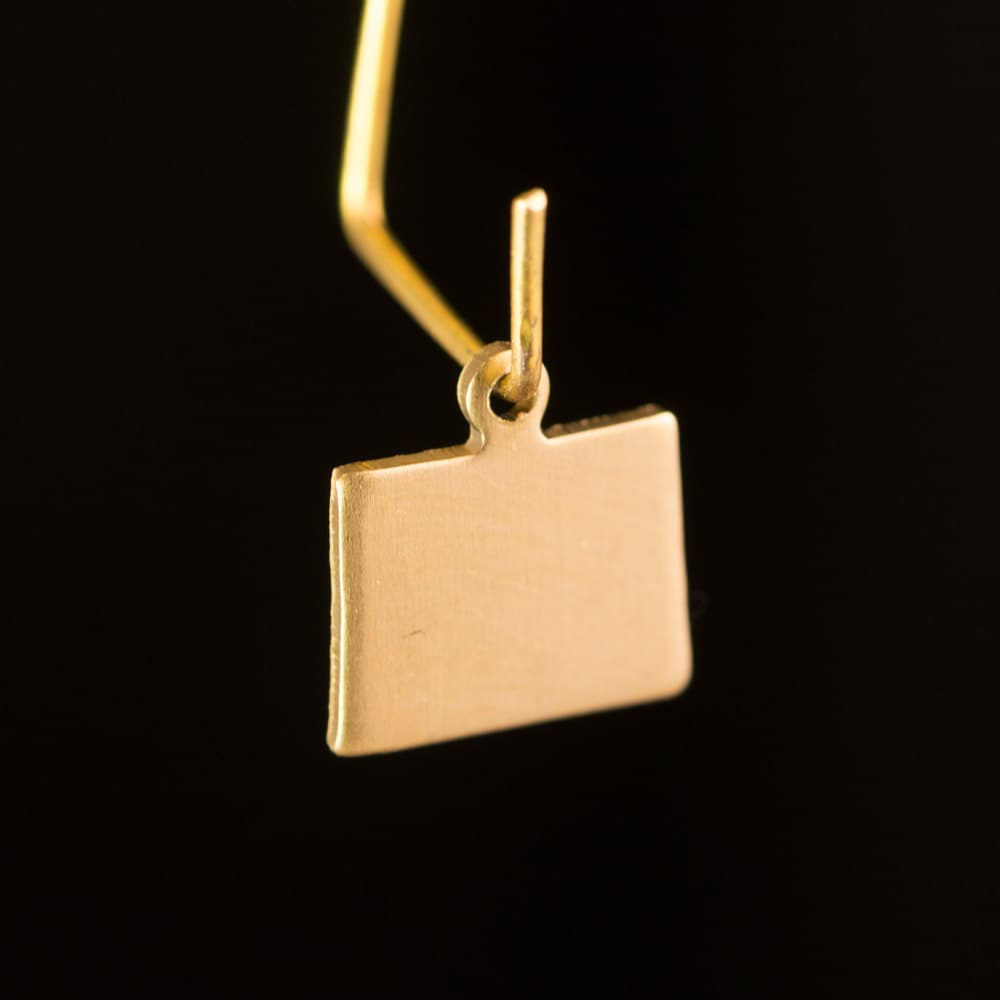 Raw Brass Colorado Blank State Charm Drops (6) chr228Z