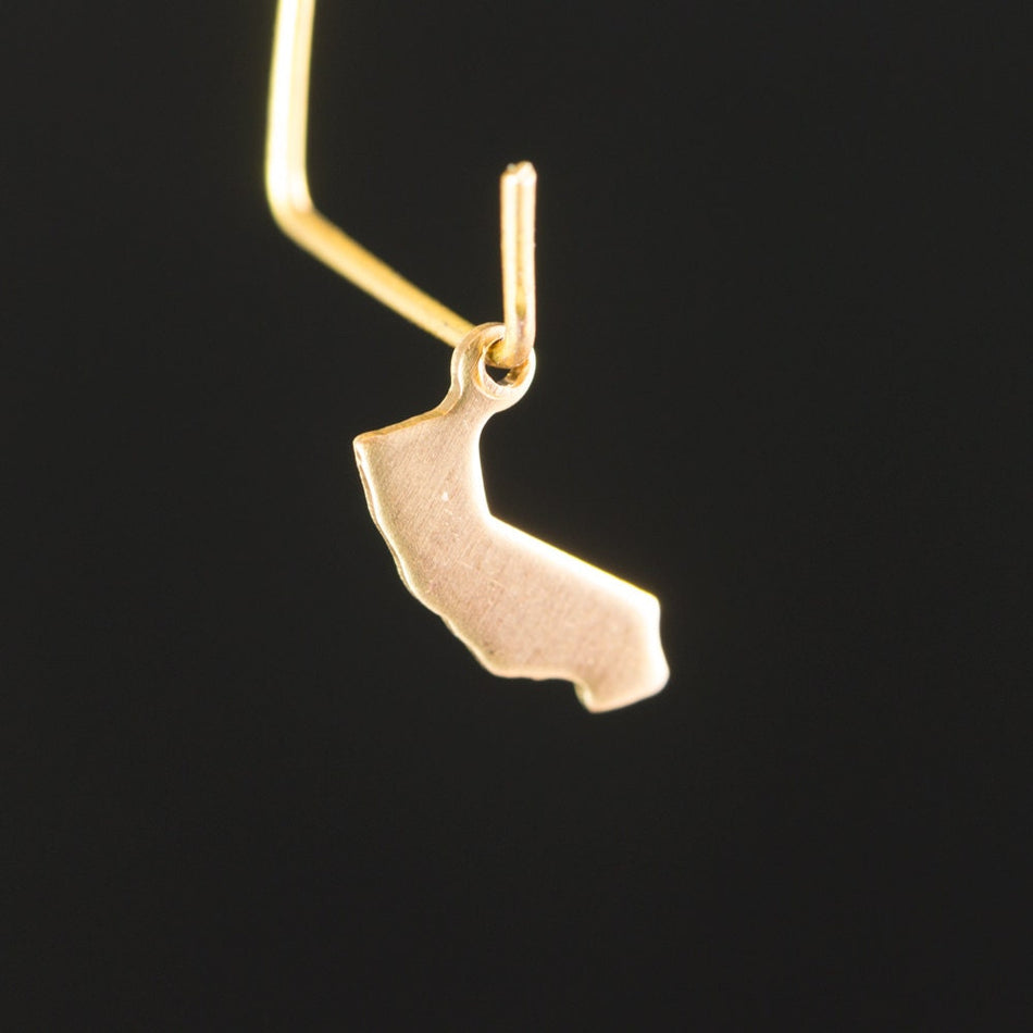 Raw Brass California Blank State Charm Drops (6) chr228D