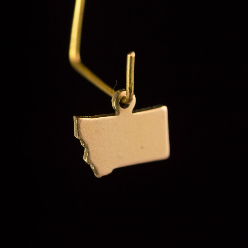 Raw Brass  Montana Blank State Charm Drops (6) chr228UU