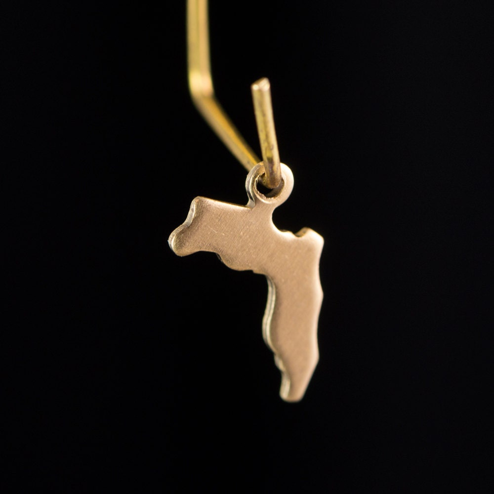 Raw Brass Florida Blank State Charm Drops (6) chr228E