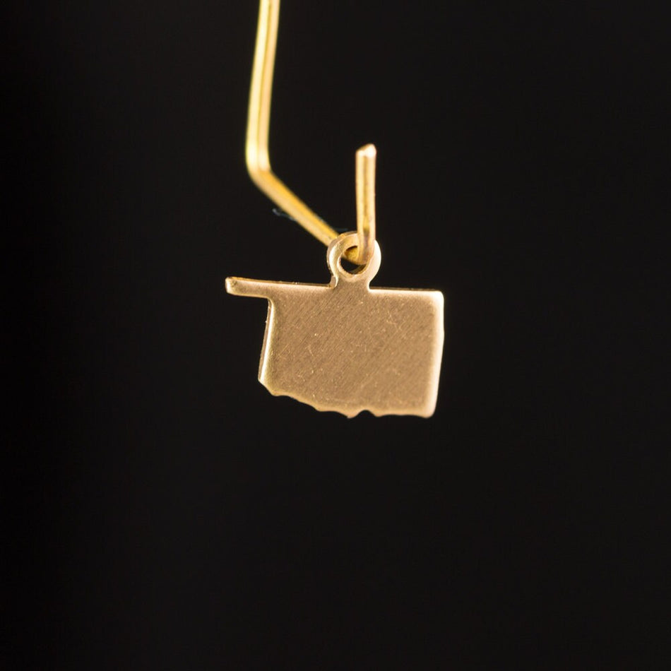 Raw Brass Oklahoma Blank State Charm Drops (6) chr228X