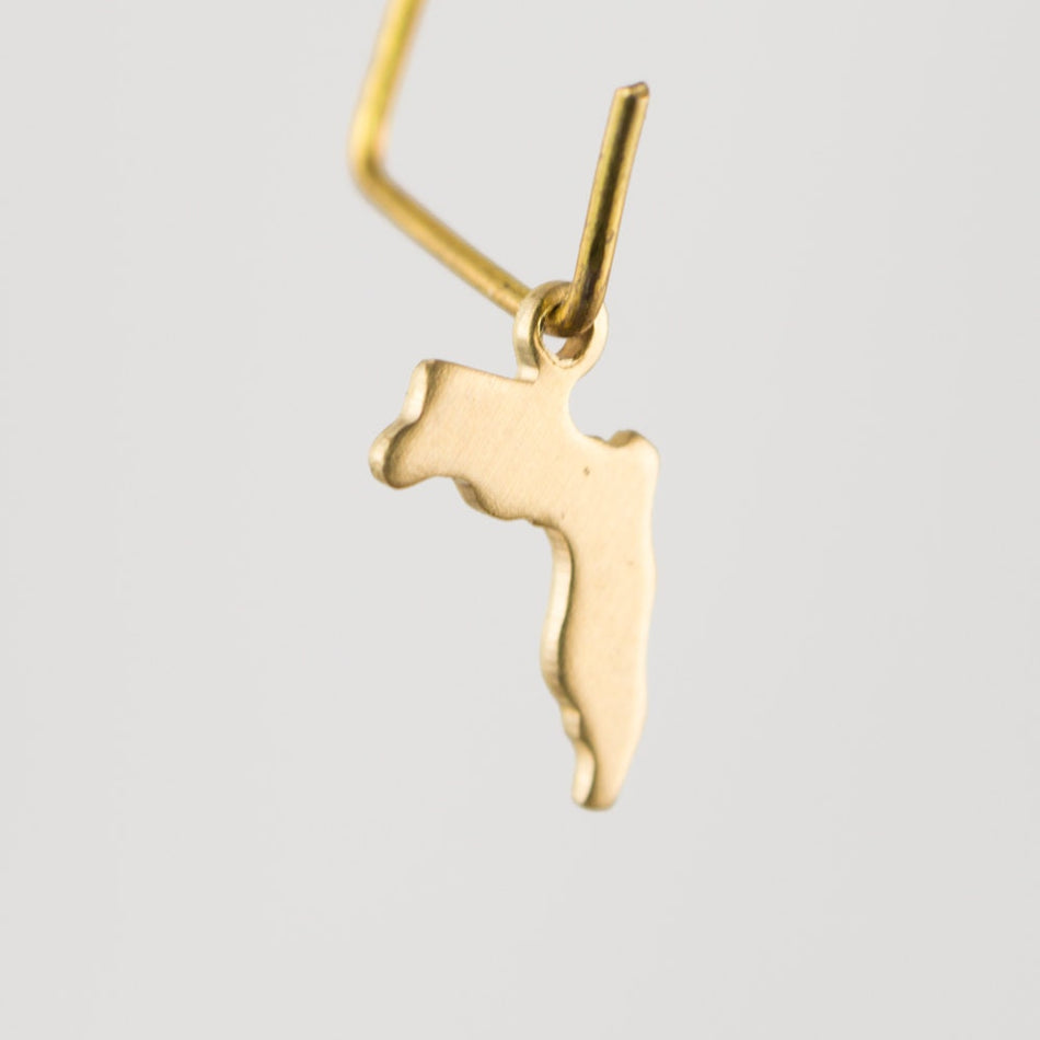 Raw Brass Florida Blank State Charm Drops (6) chr228E