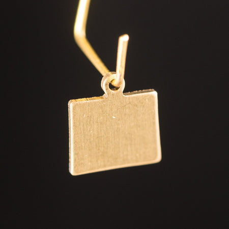 Raw Brass Wyoming Blank State Charm Drops (6) chr228HH