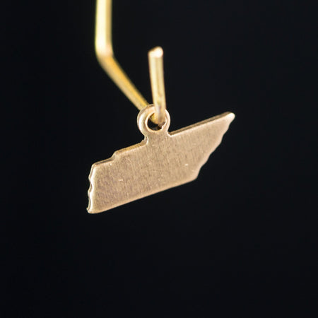 Raw Brass Tennessee Blank State Charm Drops (6) chr228EE