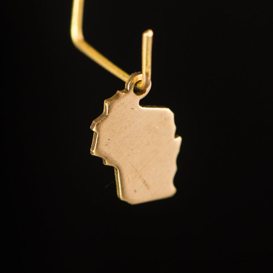 Raw Brass Tiny Wisconsin Blank State Charm Drops (6) chr228LL