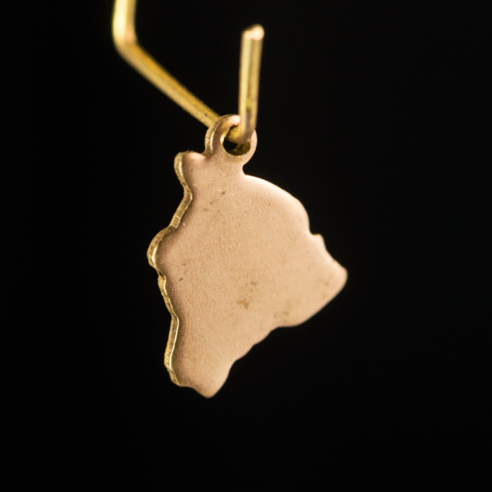 Raw Brass Hawaii Blank State Charm Drops 14x11mm (6) chr228PP