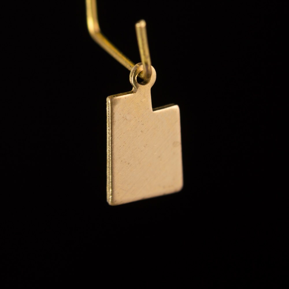 Raw Brass Utah Blank State Charm Drops (6) chr228P