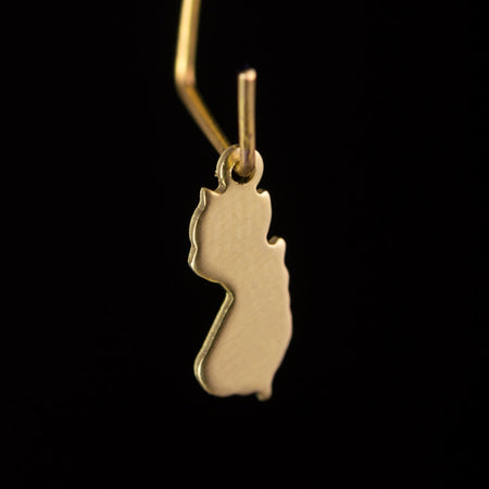 Raw Brass New Jersey Blank State Charm Drops (6) chr228L