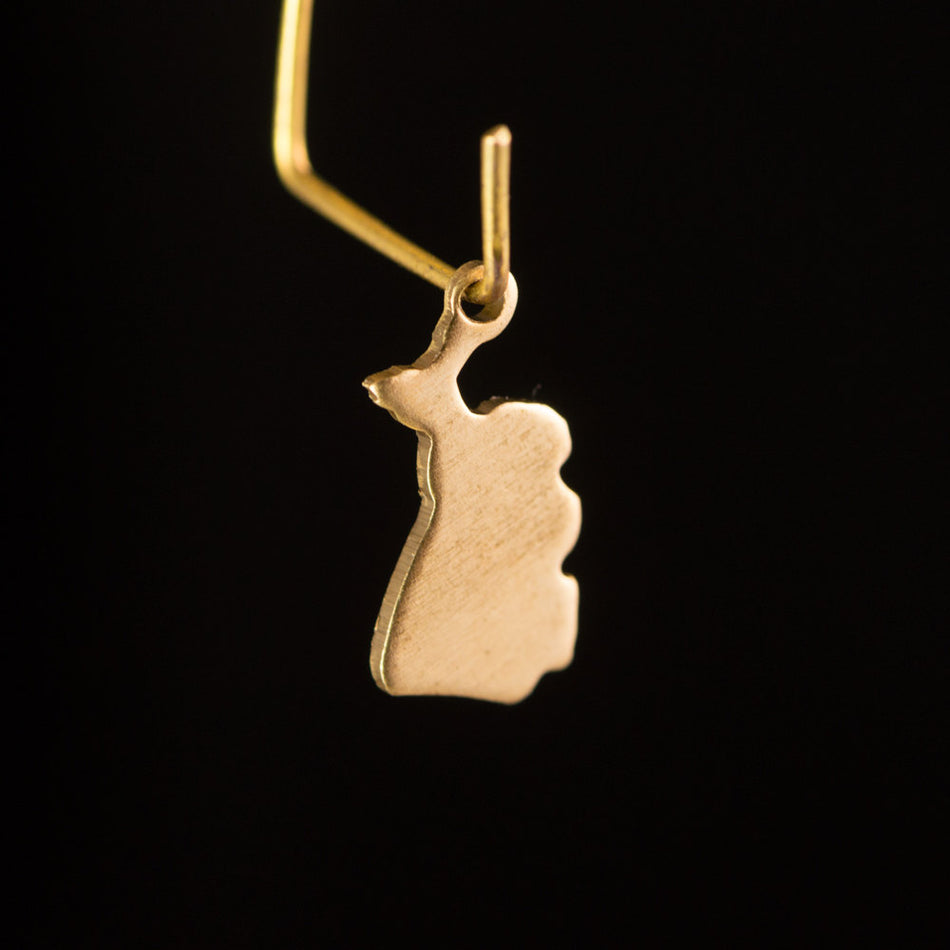 Raw Brass Michigan Blank State Charm Drops (6) chr228M