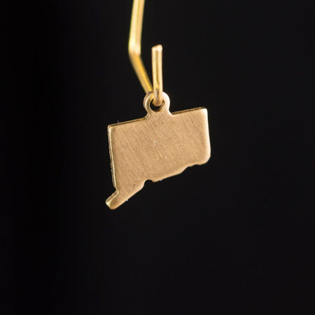 Raw Brass Connecticut Blank State Charm Drops 10x8mm (6) chr228SS