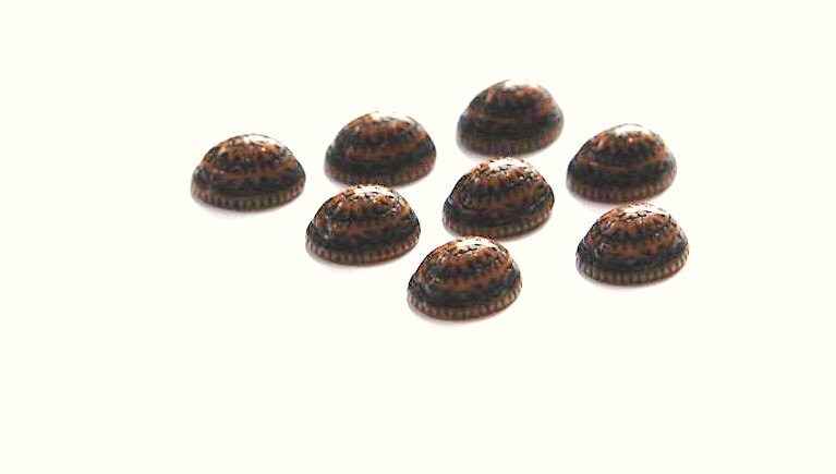 Vintage Mosaic Brown and Black Cabochons 10x8mm (8) cab714Q