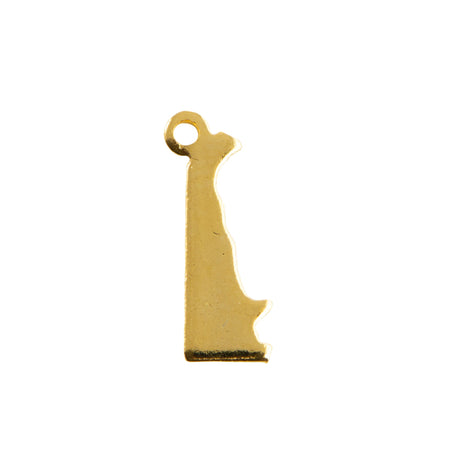 Delaware Blank State Charms (6)