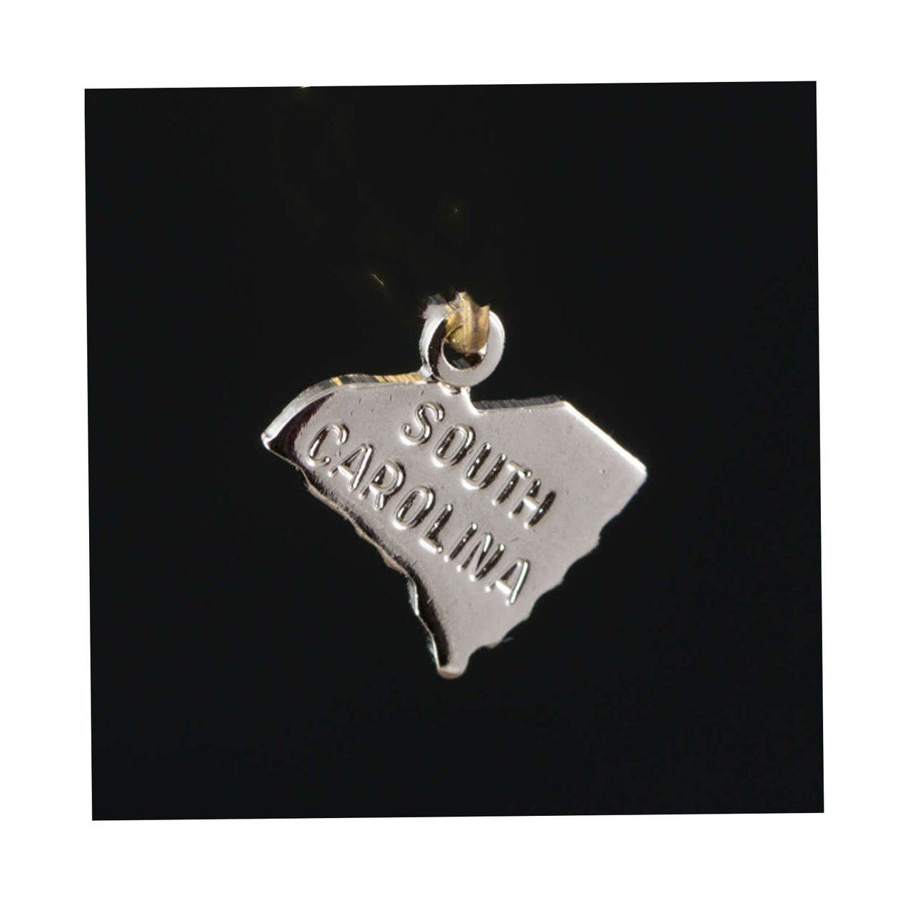 South Carolina State Charms (6)