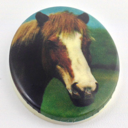 Vintage Brown and White Horse Acrylic Cameo 40x30mm (1) cab748H
