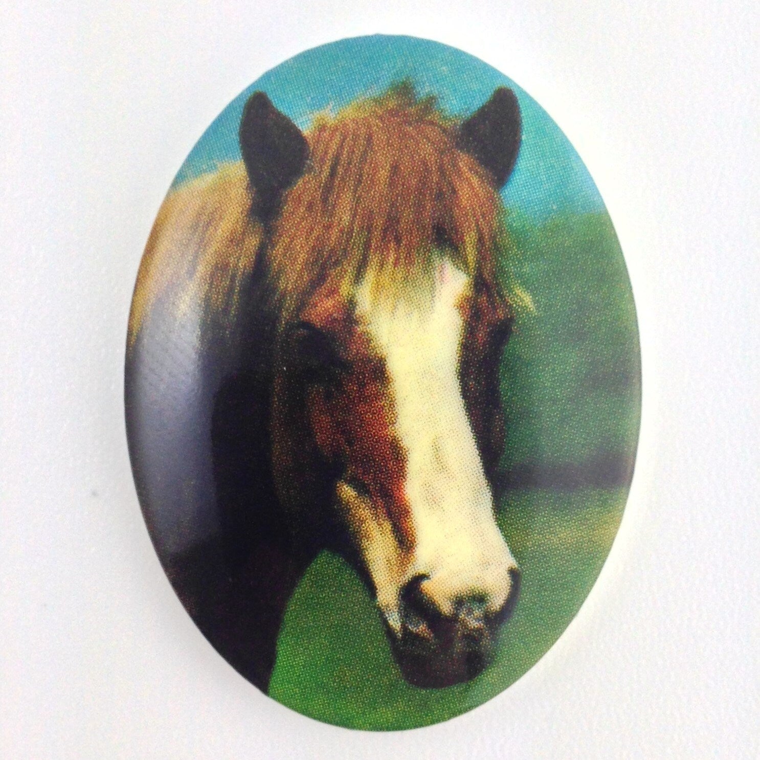 Vintage Brown and White Horse Acrylic Cameo 40x30mm (1) cab748H